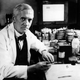 Illustration for article titled In case of apocalypse, here's how to make penicillin in your kitchen